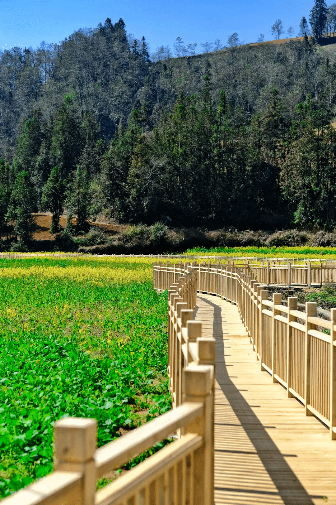 凯时KB88·(中国集团)官方网站