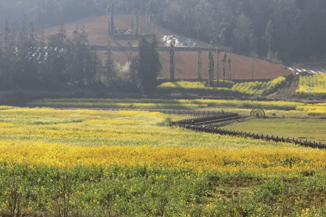 凯时KB88·(中国集团)官方网站